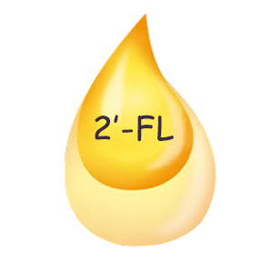 2 fl