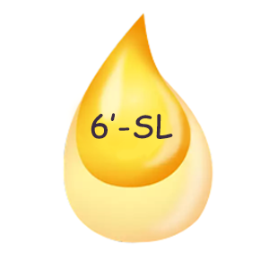6 SL